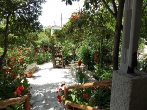 Stamatia's Garden